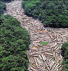 desmatamento-no-brasil